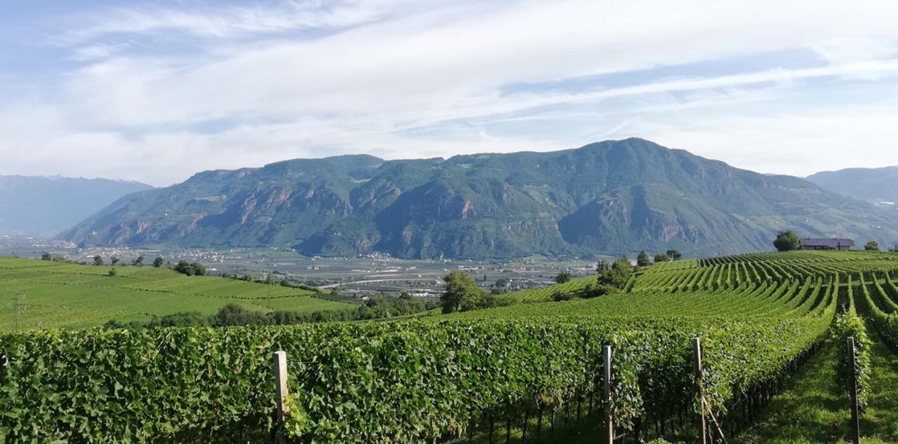Landhaus Weingut กอร์นายาโน ภายนอก รูปภาพ
