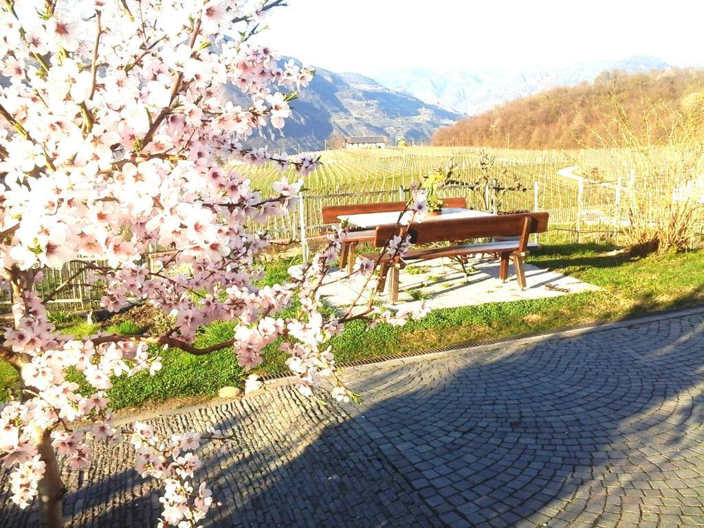 Landhaus Weingut กอร์นายาโน ภายนอก รูปภาพ