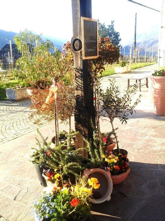 Landhaus Weingut กอร์นายาโน ภายนอก รูปภาพ
