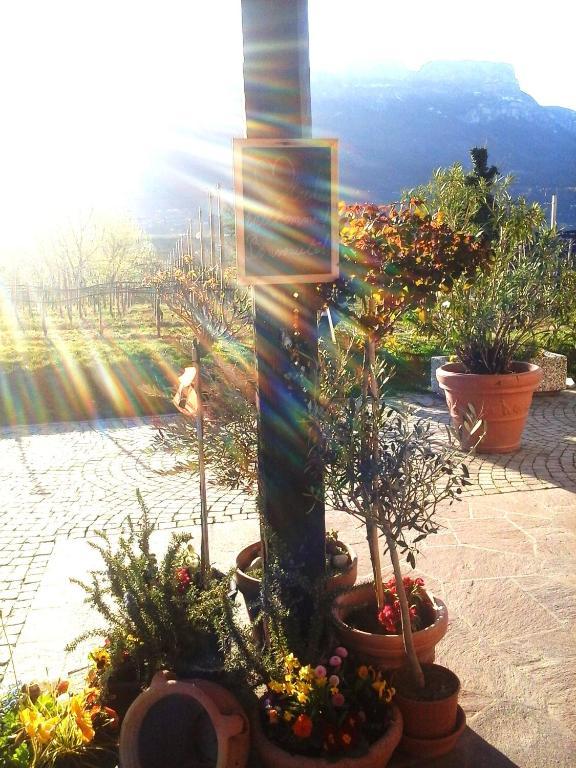 Landhaus Weingut กอร์นายาโน ภายนอก รูปภาพ